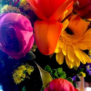 Meet your Posher, North